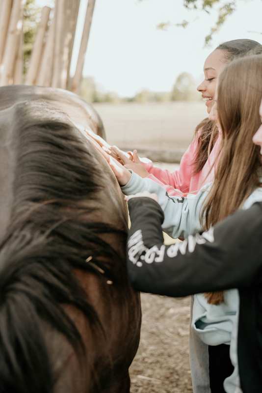 Life at Transitions Acres