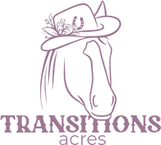 Transitions Acres, Equine Assisted Learning
